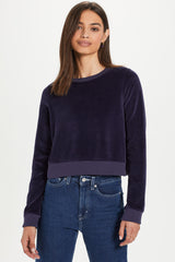 Velour Crop Sweatshirt - Goldie Lewinter